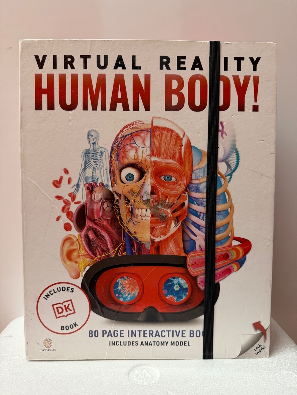 Virtual Reality Human Body Interactive Anatomy Kit with VR Headset and Model